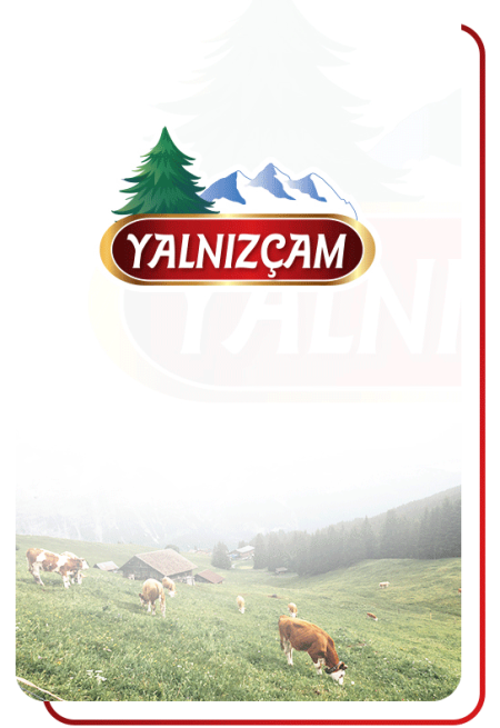 yalnizcamkavurma-2023hdd